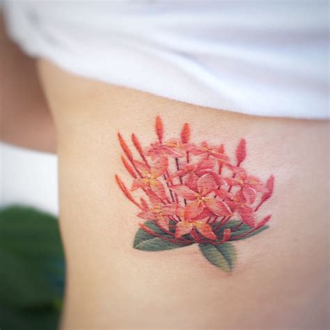 Jasmine flower tattoo by tattooist G.NO - Tattoogrid.net