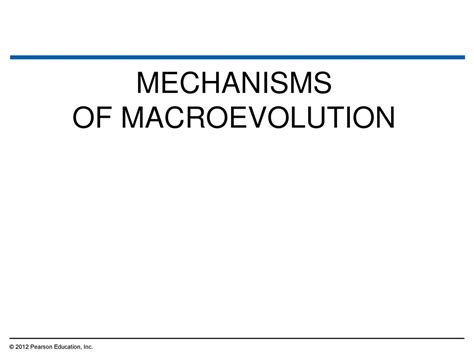 Tracing Evolutionary History - ppt download