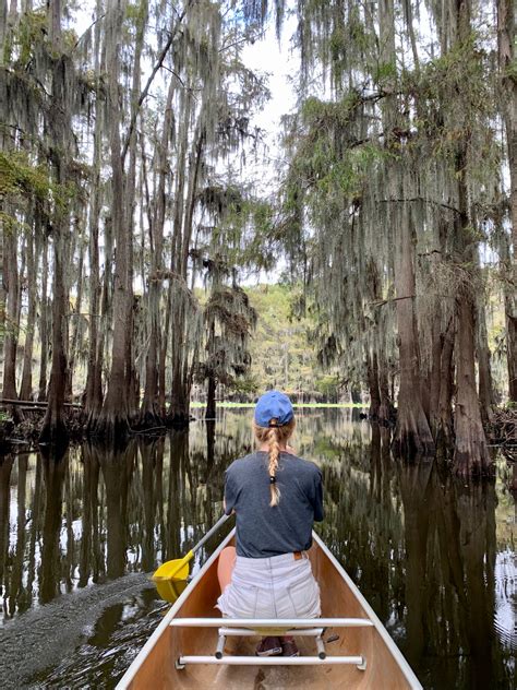 Your Weekend Guide to Canoeing Caddo Lake – It's Not Hou It's Me