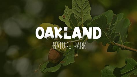 Oakland Logo Uplifting :: Behance