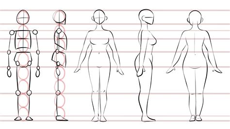 How To Draw Woman Body Step By Step - Learn How To Draw Liz Sherman ...