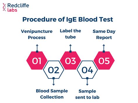 Procedure of the IgE Test