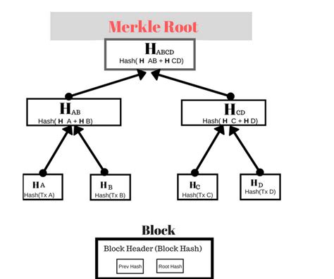 The Merkle-tree and the blockchain - Cryptotech | Binary tree, Merkle tree, Blockchain