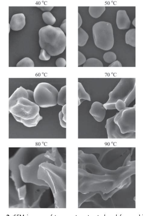 Figure 2 from Gelatinization and solubility of corn starch during ...