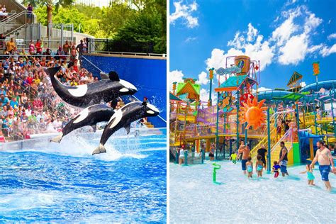 Cheap SeaWorld Orlando Tickets - How to save up to 35% - TourScanner