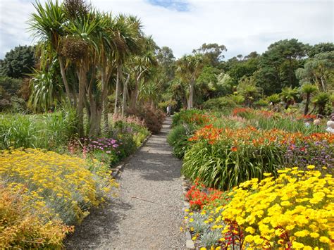 The wonderful Logan Botanic Garden is one of Scotland's iconic gardens. A piece of heaven on ...