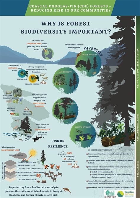 Infographic: Why is forest biodiversity important? - Dev Transition ...