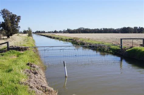 When irrigation efficiency increases, so does water use: US study - Grain Central