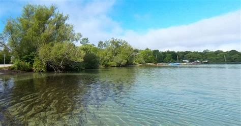 Stretch of Manitoulin Island shoreline now protected land, conservation ...