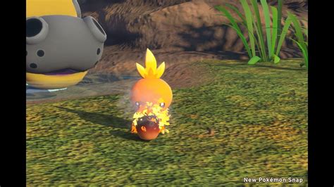 Slideshow: Our Favorite Photos From New Pokemon Snap