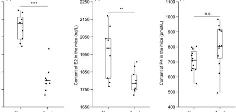 Determination of estrus cycle and reproductive hormone content in mice ...