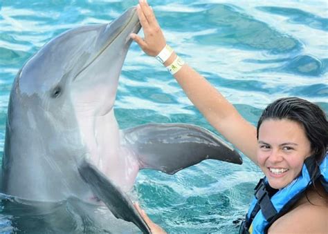 Mexico Cancun Swimming with Dolphins (800) 667-5524