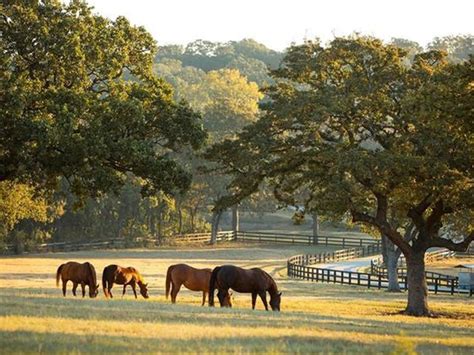 North Texas ranch with celeb ties trots onto market for $20 million ...