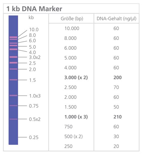 1 kb DNA ladder