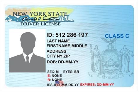 New York Drivers License Requirement - cupclever