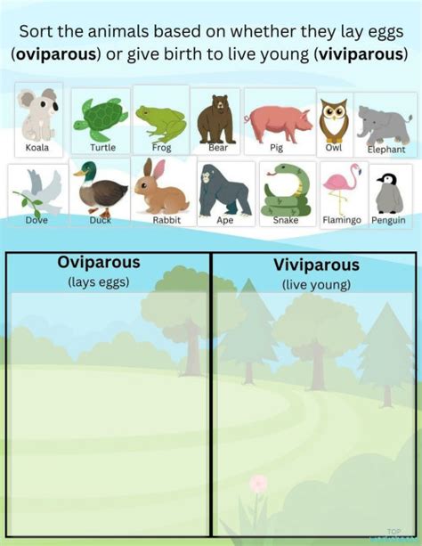 Ovoviviparous Examples