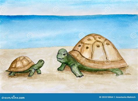 Turtles on the Seashore. Drawing of Mom and Her Child Stock Photo - Image of beautiful ...