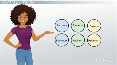 Biological Organization | Definition, Hierarchy & Levels - Lesson | Study.com