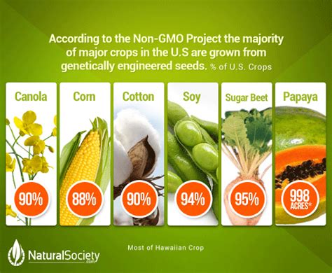 Americans To Eat 1+ Billion Pounds of GMO Foods On Superbowl Sunday