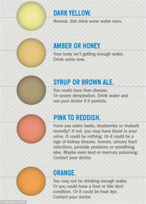 7 Urine Colors That Reveal Important Things About Your Health | Beauty ...