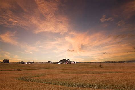 Iowa Landscape Stock Photos, Pictures & Royalty-Free Images - iStock