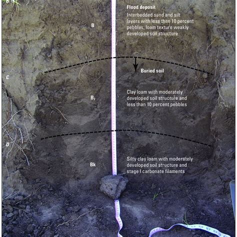 Diagram Of Soil Horizons