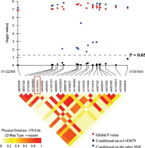 Two-SNP conditional haplotype analysis plots for EAs. A two-SNP ...