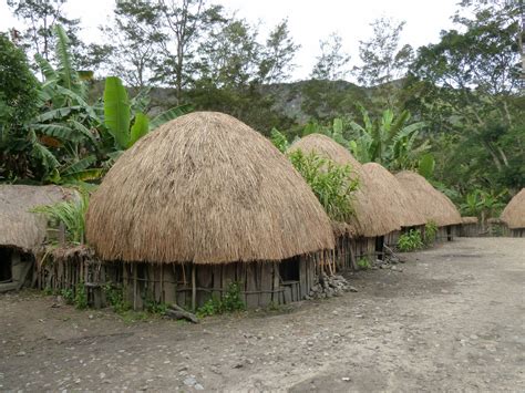 Rumah Adat Indonesia: Honai - Papua