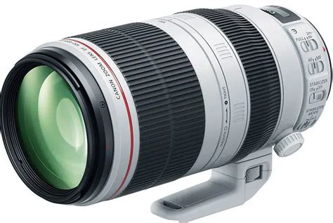 Canon 100-400 II Review: Pros, Cons, & Top Features