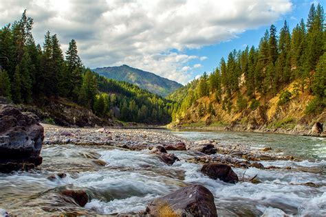 Clark Fork River - Montana Fly Fishing Experience