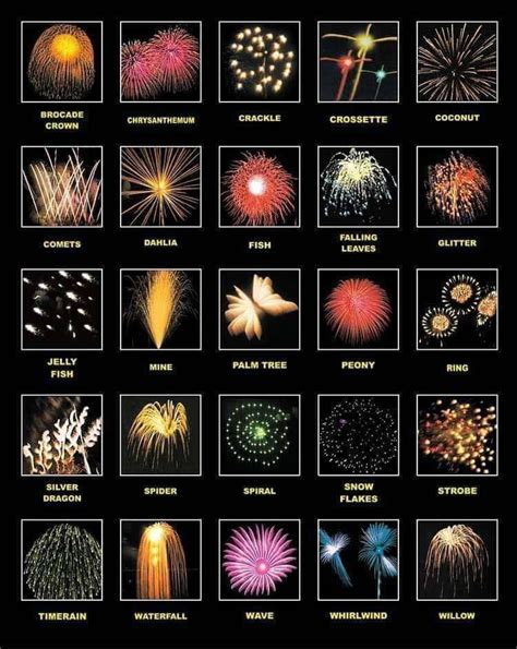 Different types of fireworks. Who would've known there were specific ...