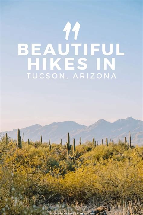 11 Best Tucson Hiking Trails