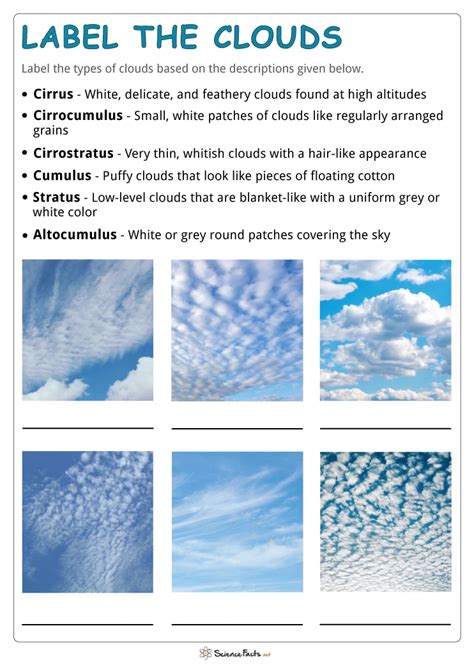 Types Of Clouds Worksheet