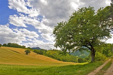 The Best of the Italian Countryside, in Pictures - Walks of Italy