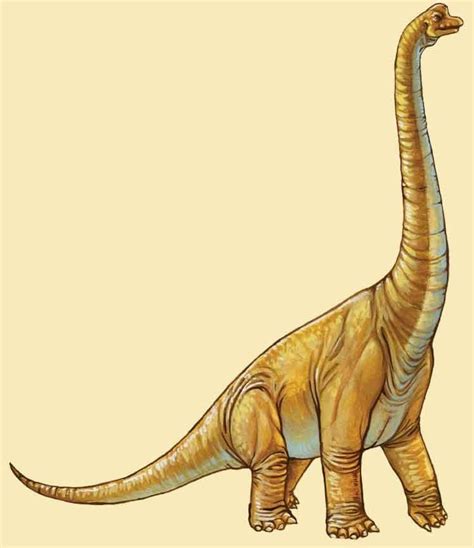 Ultrasaurus Vs Brachiosaurus