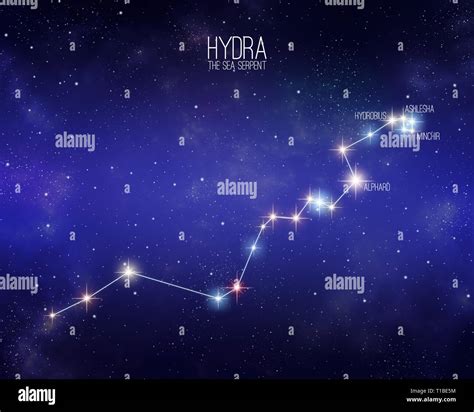 Hydra the sea serpent constellation on a starry space background with ...