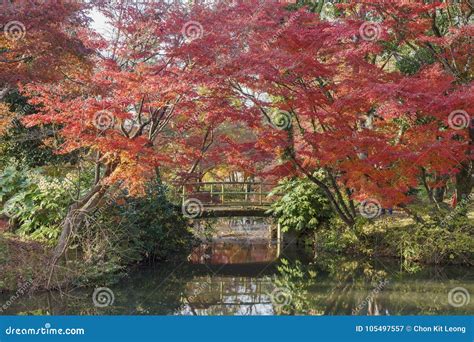 Beautiful Fall Color of Kyoto Botanical Garden Stock Image - Image of ...