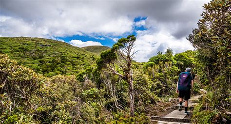 Pouakai and Pukeiti New Zealand mountain images and information - occasionalclimber.co.nz