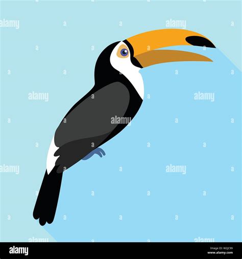 Toucan singing icon. Flat illustration of toucan singing vector icon ...