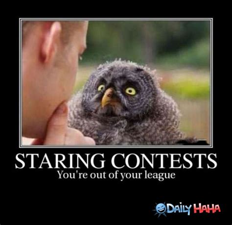 Staring Contest