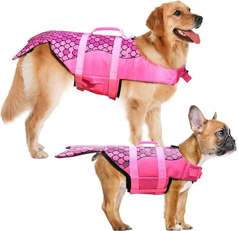 The Best Dog Swimming Gear (+ Where To Get It Cheaply!) | PupTraveller