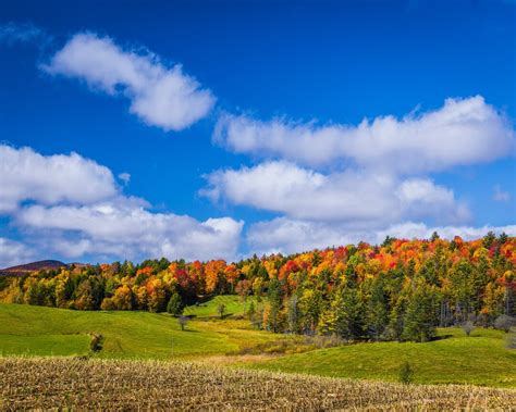 New England Fall Foliage Colors-pastoral Brilliant Fall Color and ...