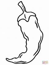 Chili Pepper coloring Page  Free Printable Coloring Pages sketch template