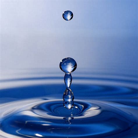 Quotes about Drop Of Water (83 quotes)