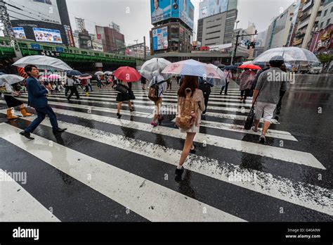 Shibuya Crossing Tokyo Stock Photo - Alamy