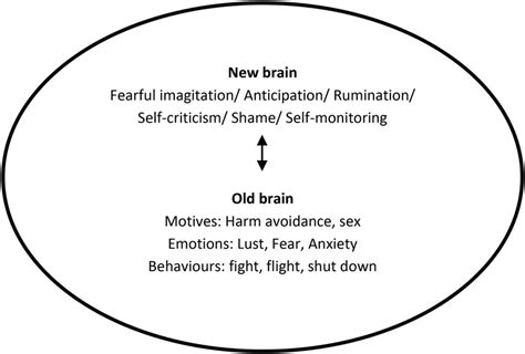 Example of new brain-old brain loop in pain during sex. | Download Scientific Diagram