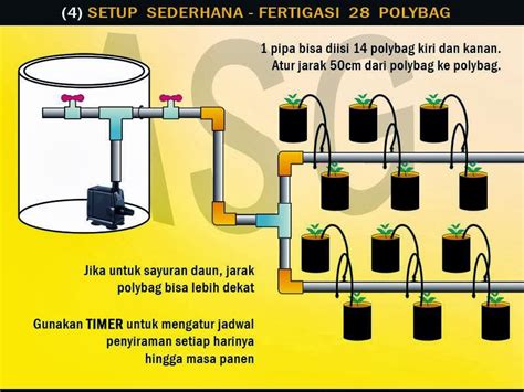 Tanaman Hidroponik Wikipedia | tanamanbaru