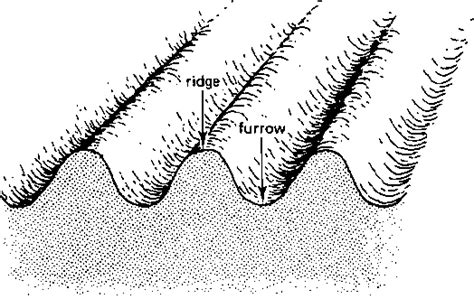 Efficient Furrow Irrigation Techniques