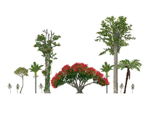 'Pixel Aotearoa' - Native Trees of NZ. I'm slowly adding more trees so let me know which species ...