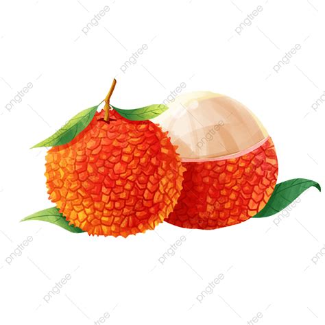 Original Hand Painted Hd Transparent, Fruit Litchi Hand Painted ...